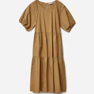 Everlane Tiered Puff Sleeve Dress